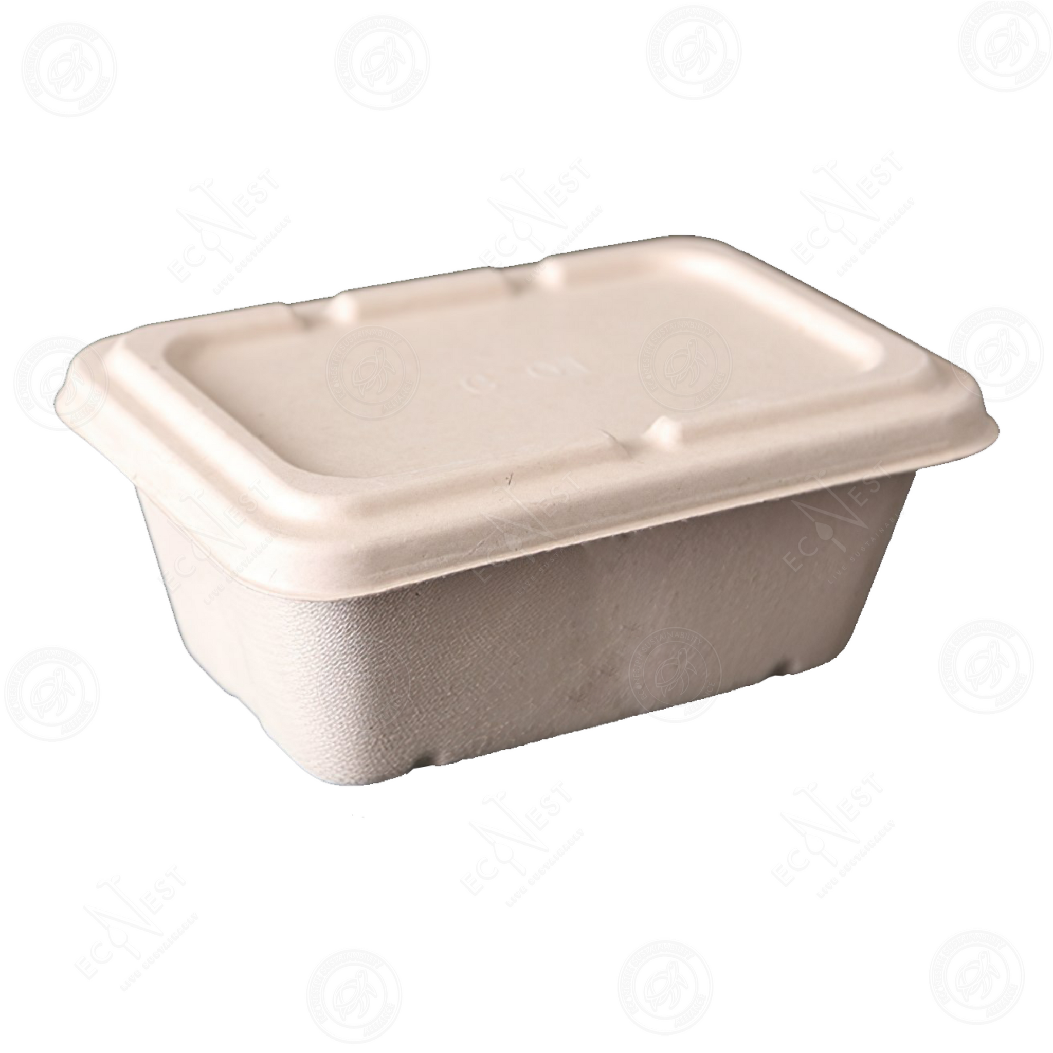 Bagasse Eco Cup Holder Hot & Cold – EcoNest Philippines